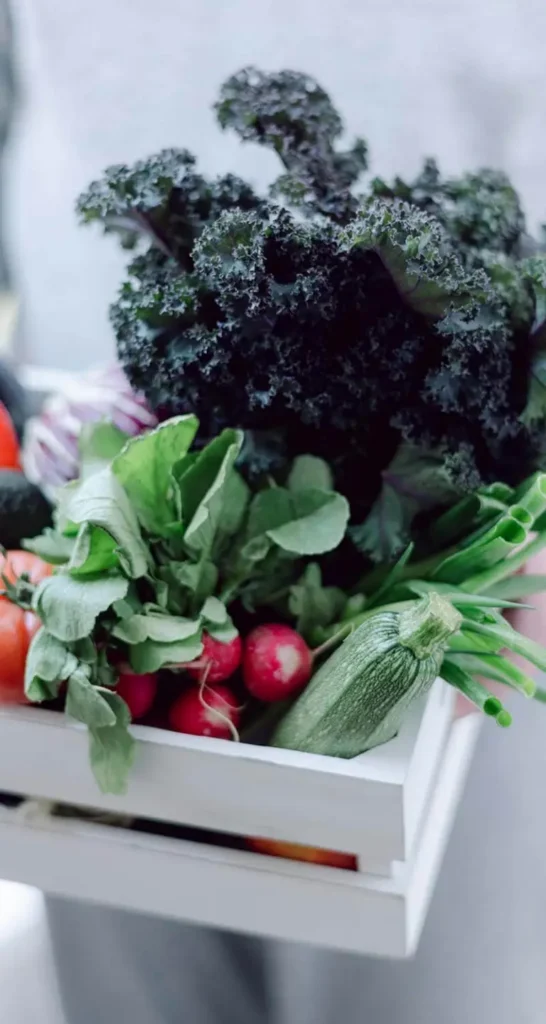 food-coop-13